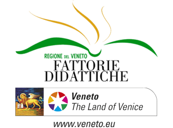 Logo aziendale