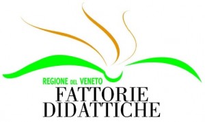 logo fatt didattiche